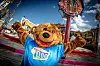 Feiert Geburtstag: DOM-Bär Bummel ist bei gutem Wetter jeden Mittwoch und Sonntag vor Ort.