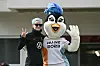 Das Interesse an US-Star Megan Rapinoe und der Frauen-WM ist in Neuseeland nicht so groß wie erhofft.