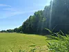 Ein großer Teil dieser Bäume soll für den neuen Stadtteil Oberbillwerder weichen.