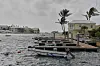 Bäume wehen im Wind vor der Ankunft des Hurrikans „Imelda{ in Hamilton. auf den Bermudas.