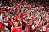 Dänemarks Fans feiern im Stadion