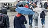 Passanten laufen mit Regenschirmen über den Fischmarkt.