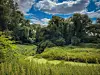 Altenwerder Kirchtal und Bullerrinne