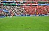 Rasen im Frankfurter Stadion