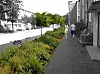 Mehr Grün sowie breitere Geh- und Radwge: So könnte die Königstraße in Altona bald aussehen.