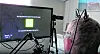 Eine Software und KI wandeln Pat Bennetts Gedanken in Worte um.