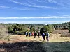 Wandern Heide