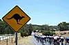 Warnhinweis auf Kängurus bei der Tour Down Under