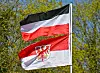 Reichsbürger Flagge Norden Verfassungsschutz