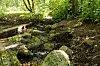 Alsterquelle trocken