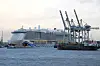 Im Jahr 2022 rechnet die Kreuzfahrtbranche wieder mit mehr Schiffanläufen im Hamburger Hafen.