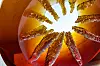 „Honey Circle“ von Marek Brincko
