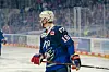 Halsschutz von Max Gildon bei Adler Mannheim vs. Straubing Tigers