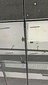 Immer mal wieder verirren sich Tauben in die Dachgitter und finden nicht mehr heraus – ein tödliches Schicksal.