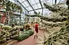 Zahlreiche Pflanzen aus den Trockenregionen Nord-, Mittel- und Südamerikas stehen im Schaugewächshaus „Aridhaus Amerika“ des Botanischen Garten Kiel dicht beieinander.