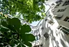 Ein grüner Innenhof in der Stadt.