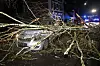 Bei einem Unfall in Lägerdorf im Kreis Steinburg fiel ein Baum auf ein fahrendes Auto.