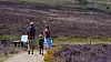 Bei Touristen ist die Lüneburger Heide sehr beliebt.(Symbolbild)