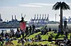 Park Fiction im Sommer