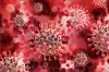 Coronavirus (Illustration)