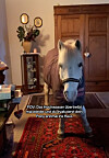 Eine 15-Jährige bringt ihr Pony wegen des Hochwasser kurzerhand ins Wohnhaus.