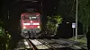 Ein umgestürzter Baum hatte die Oberleitung zerstört – 49 Fahrgäste wurden evakuiert.