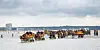 Rund 60 Wattwagen aus Cuxhaven und Neuwerk trafen sich zur ersten Watt-Demo am Priel, der immer tiefer wird.