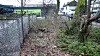 Wildschwein Osdorf Jäger Polizei