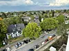 So sah die Straße vor den Fällungen aus.