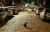 Parkende Autos
