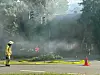 Um das brennende Reetdachhaus zu löschen, musste die Feuerwehr mehrere Bäume fällen.