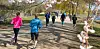 Jogger an der Außenalster (Symbolbild)