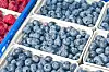 Heidelbeeren