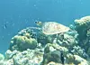 Das Naturschutz-Zentrum AquaTerra bringt Umweltschutz und Wissenschaft auf einen Nenner.