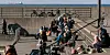 Menschen genießen das sonnige Winterwetter im Westhafen von Malmö.