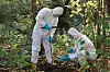In den Boberger Niederungen wurden 2018 hohe Dioxin-Werte festgestellt. Jetzt haben die Arbeiten begonnen, um den betroffenen Boden auszutauschen. (Archivbild)