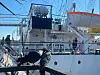 Tauben vor Schiff