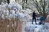 Auf bis zu -8 Grad können die Temperaturen in den kommenden Tagen fallen.