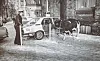 Ein Polizist will die Kuh an der Bundesstraße mit einer Kelle stoppen - doch das Tier bleibt unbeeindruckt.