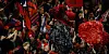 Fans feiern im Stadion von Melbourne.