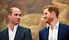 Finden sie wieder zueinander? Prinz William (li.) und sein Bruder Harry.