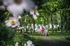 Der Hochdorfer Garten in Tating ist ein Kleinod auf Eiderstedt