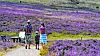 Familie beim Wandern