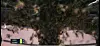 Bienen beim Tennis