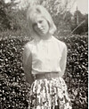 Sturmflut 1962