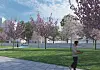 Ein Drittel des August-Bebel-Parks soll bepflanzt werden.