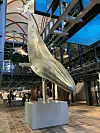 Meeresmuseum Stralsund