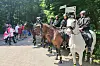 Polizistinnen während der EM an Volksparkstadion (Archivbild)