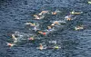 Ein Triathlon-Testwettkampf in der Seine