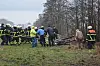 Pferd rutscht in Graben – Feuerwehr rettet es